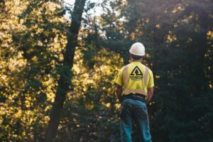 A tree service worker stands in a forest wearing a hardhat and safety vest, ready for a day of outdoor work.